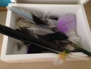 sacred box of feathers