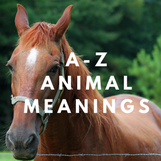 Spiritual Animal Meanings A=Z