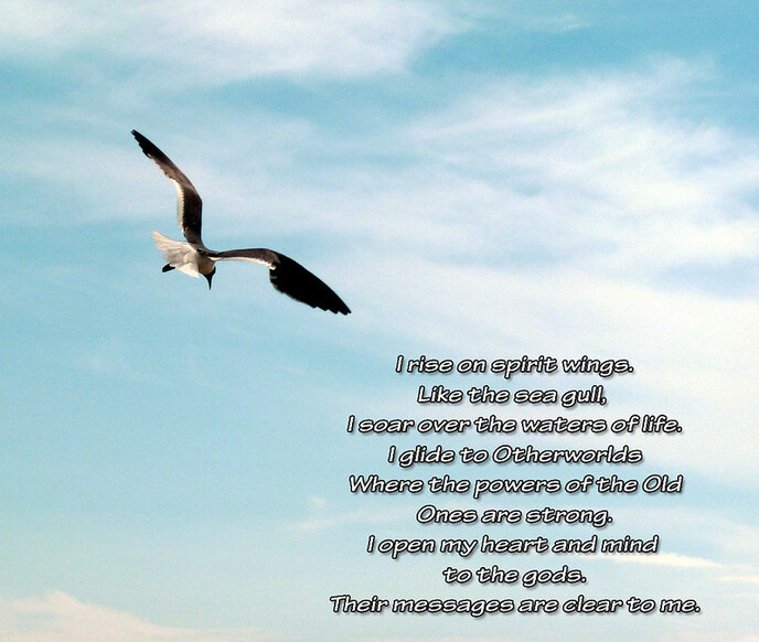 seagull spiritual meaning