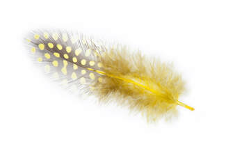 YELLOW fluffy feather with spots