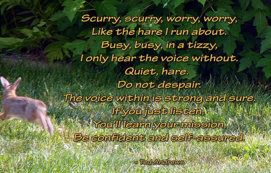 hare spiritual meaning poem