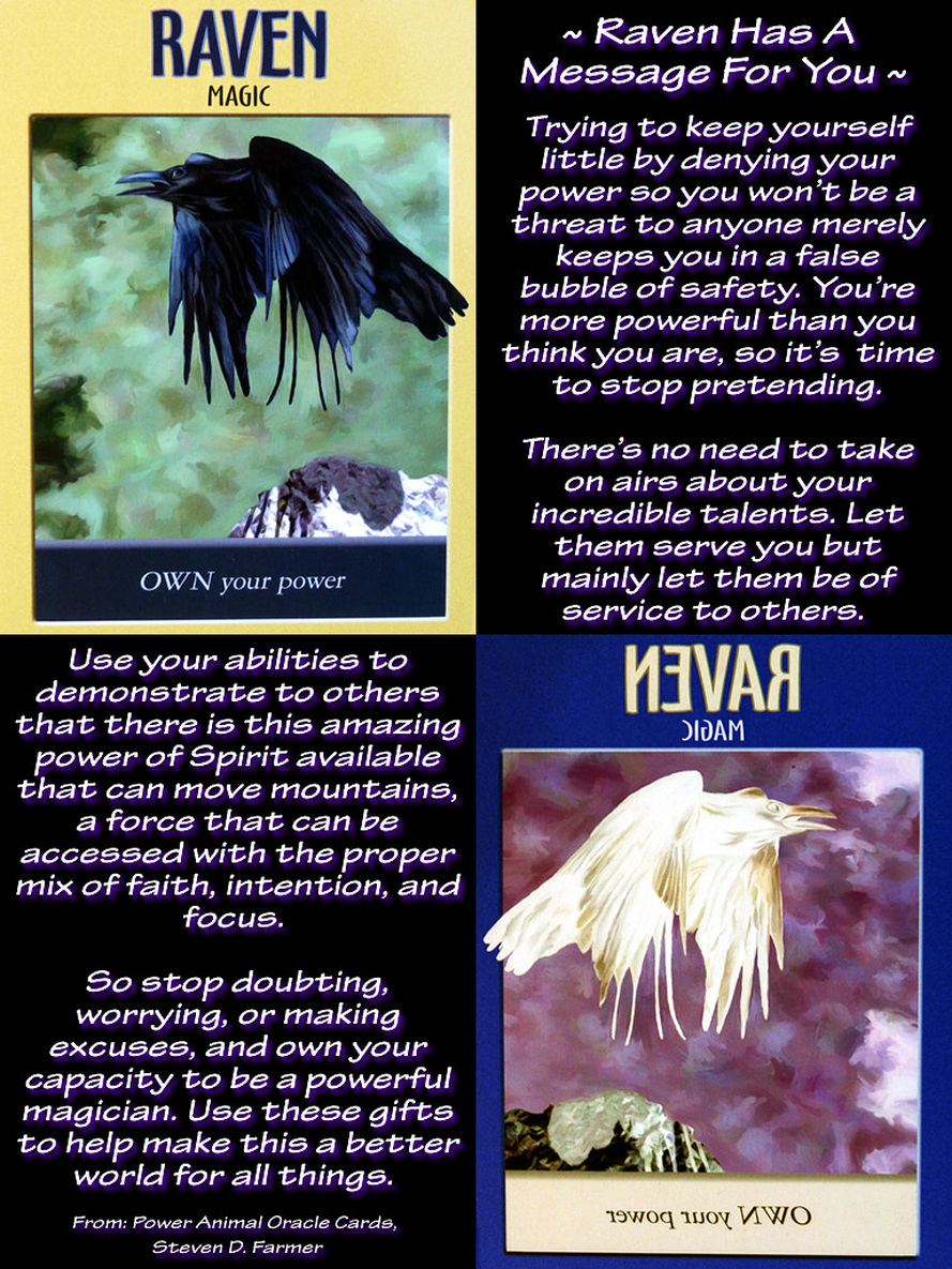 raven spiritual meaning and power message