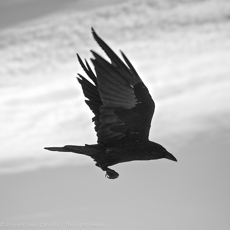 raven spiritual meaning