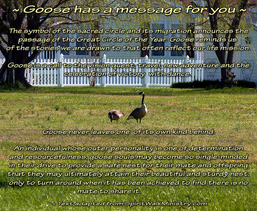 goose spiritual meaning