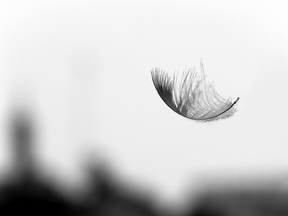 angel feather falling