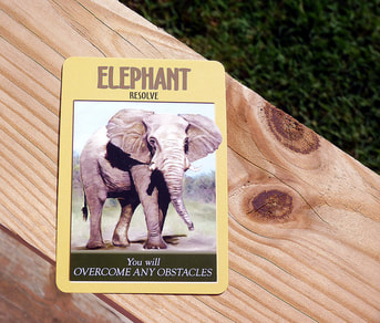 elephant spiritual meaning oracle card