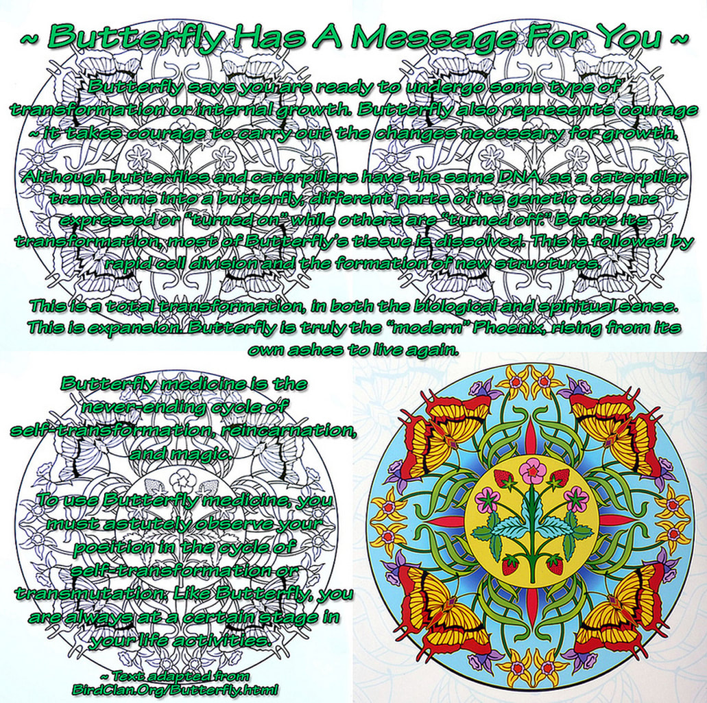butterfly spiritual meaning