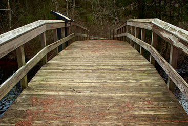 small wooden walk bridge over lake