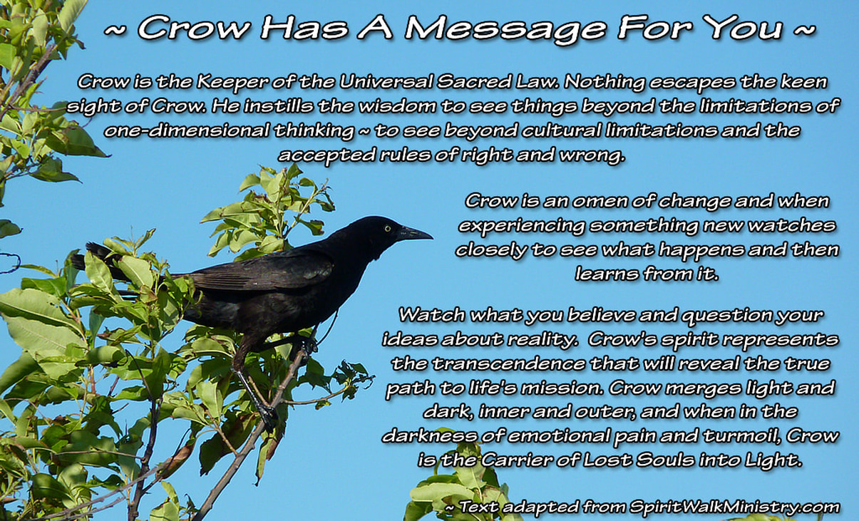 crow spiritual meaning