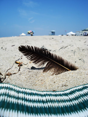 black feather sticking out of the sand