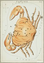 cancer star sign crab constellation zodiac symbol