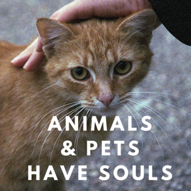 animals and pets have souls