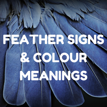 Feather Signs and color meanings