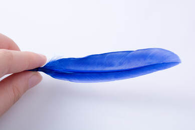 hand holding blue feather