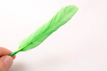 hand holding green feather