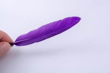 hand holding purple feather