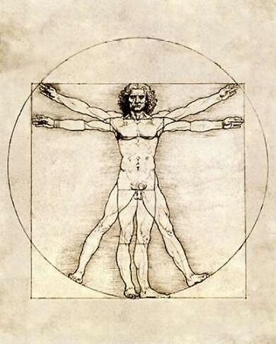 Vetruvian Man drawing by Leonardo da Vinci
