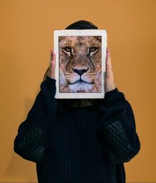 lion picture in frame in front of face