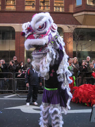 chinese new year lion dance dragon dance