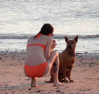 woman and dog connecting on beach