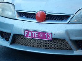 fate 13 number plate sign