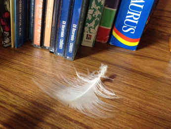 white feather on desk near books
