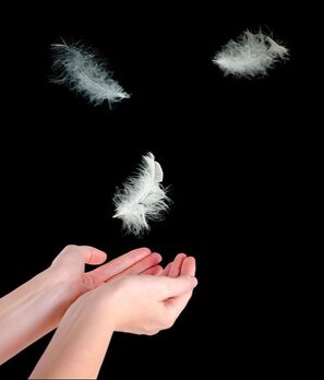 What Does A White Feather Mean? White Feather Spiritual Meaning 