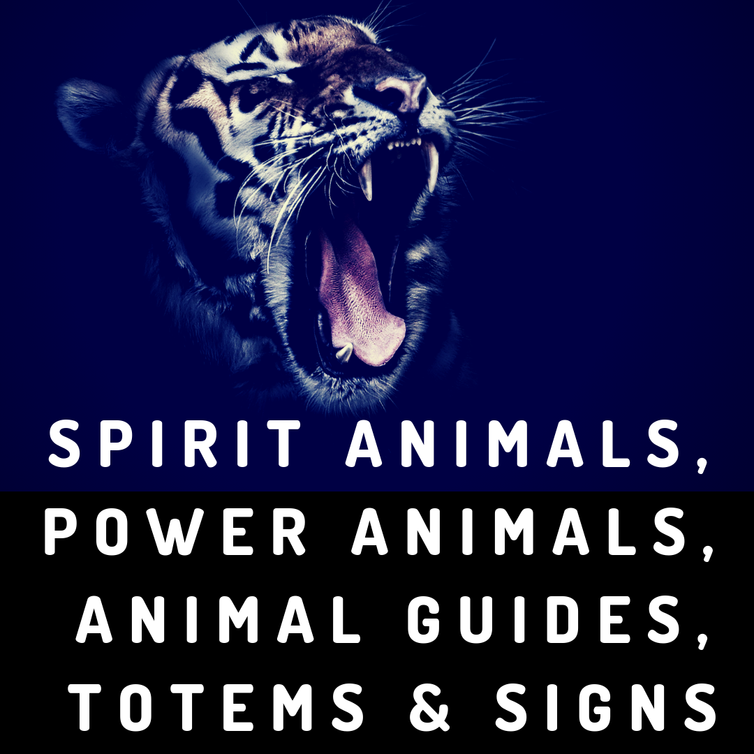 spirit animals, power animals, animal guides, totems, signs